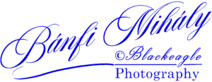 About me a blue text on a black background